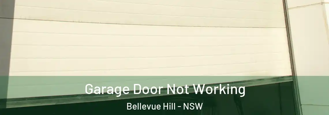 Garage Door Not Working Bellevue Hill - NSW