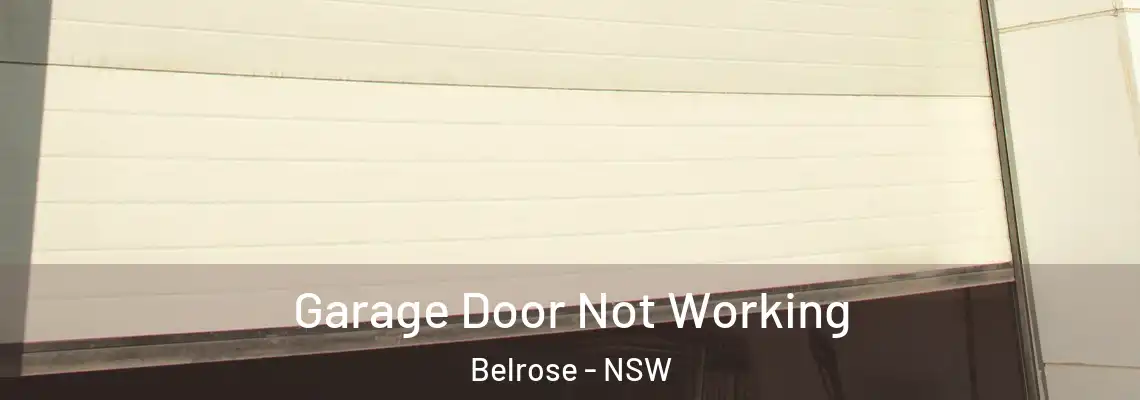 Garage Door Not Working Belrose - NSW