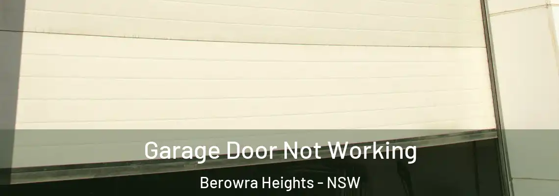 Garage Door Not Working Berowra Heights - NSW