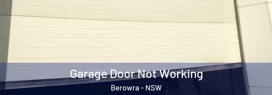 Garage Door Not Working Berowra - NSW