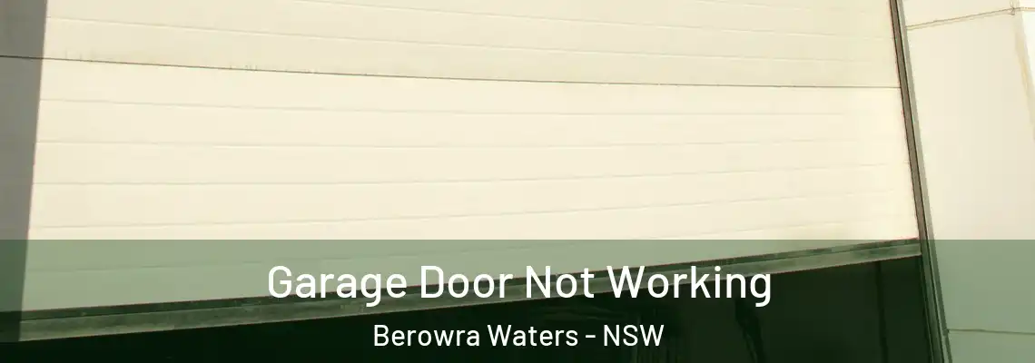 Garage Door Not Working Berowra Waters - NSW