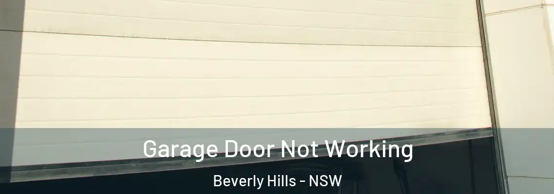 Garage Door Not Working Beverly Hills - NSW