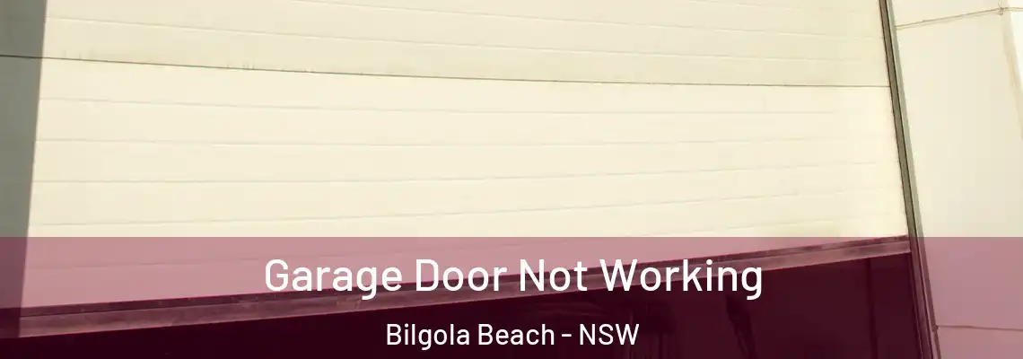Garage Door Not Working Bilgola Beach - NSW