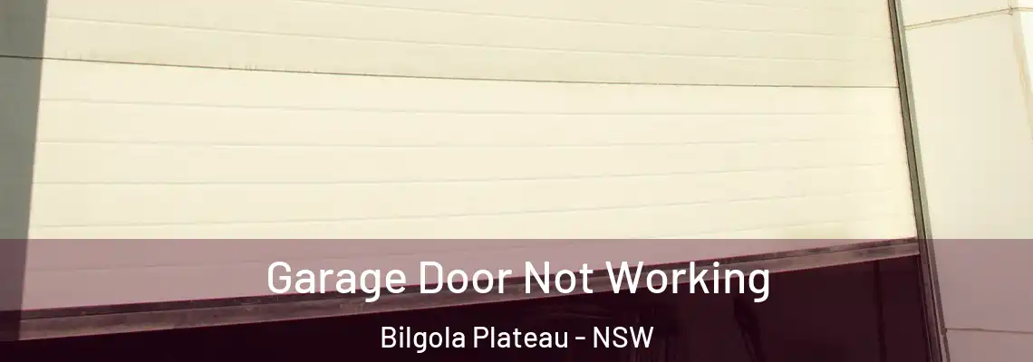  Garage Door Not Working Bilgola Plateau - NSW