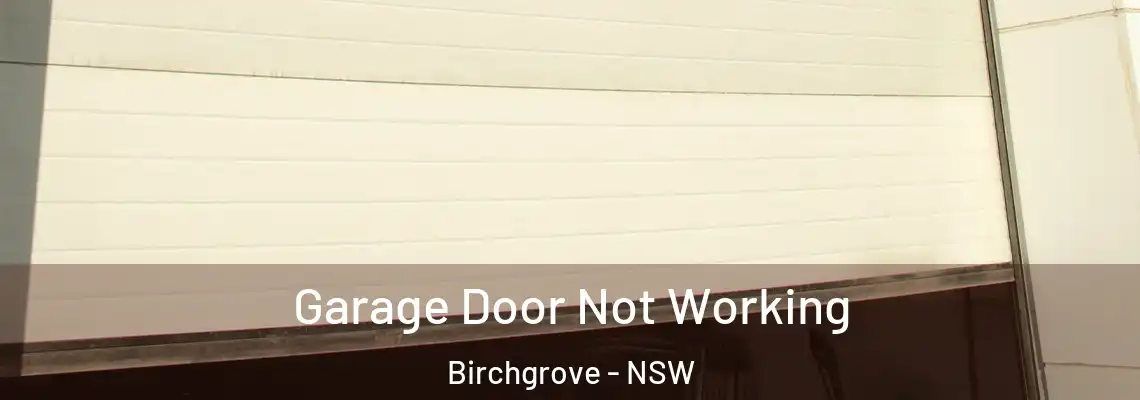 Garage Door Not Working Birchgrove - NSW