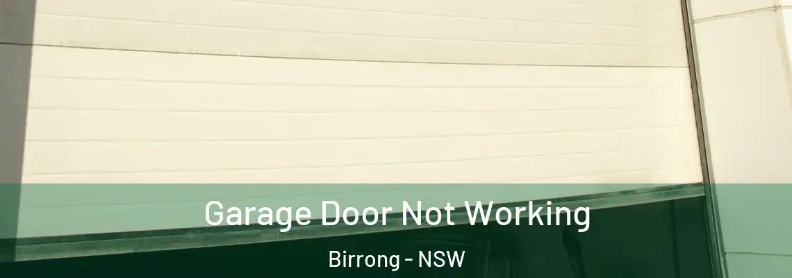 Garage Door Not Working Birrong - NSW