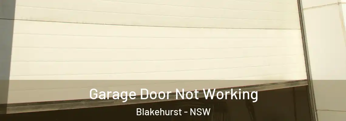 Garage Door Not Working Blakehurst - NSW