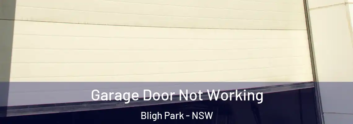 Garage Door Not Working Bligh Park - NSW