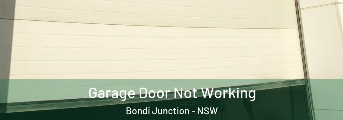 Garage Door Not Working Bondi Junction - NSW