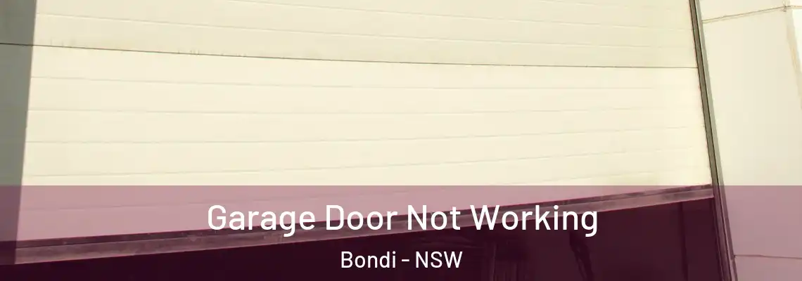 Garage Door Not Working Bondi - NSW