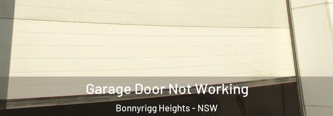 Garage Door Not Working Bonnyrigg Heights - NSW