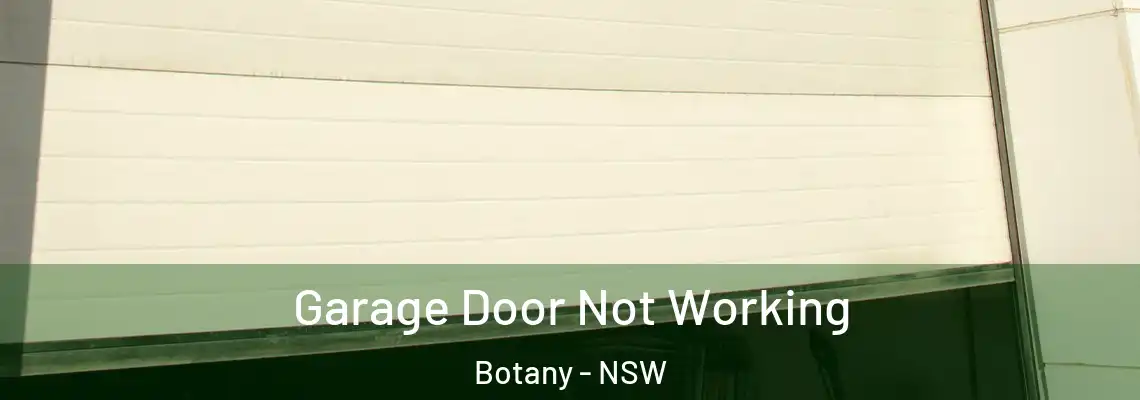 Garage Door Not Working Botany - NSW