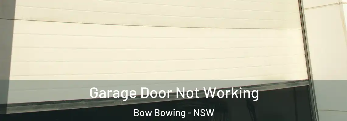 Garage Door Not Working Bow Bowing - NSW