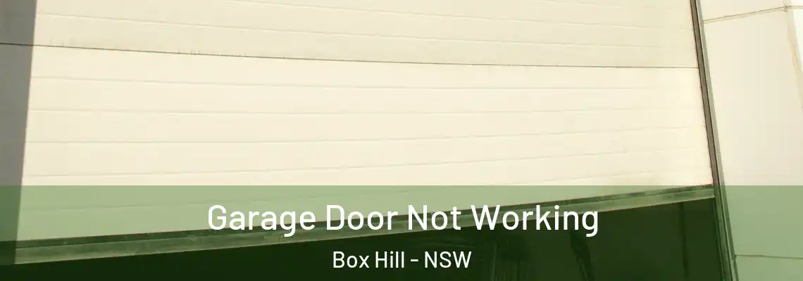 Garage Door Not Working Box Hill - NSW