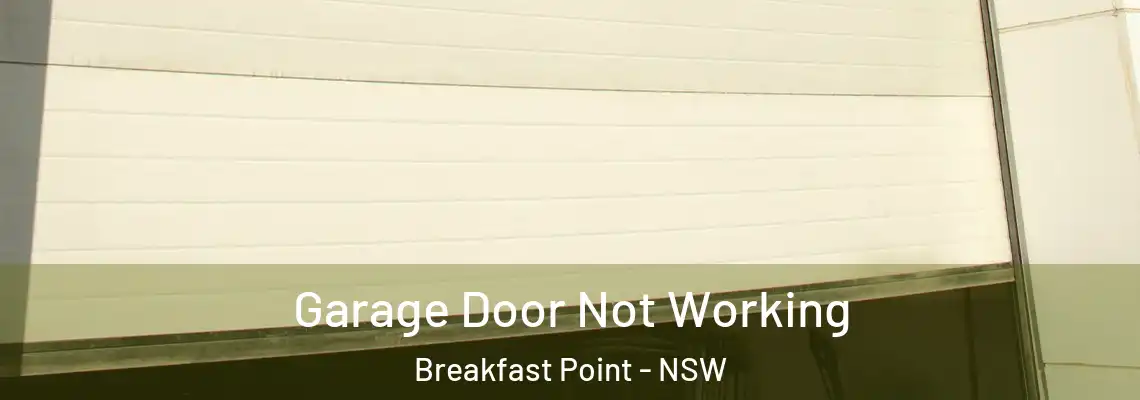 Garage Door Not Working Breakfast Point - NSW