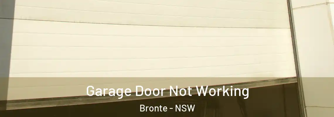Garage Door Not Working Bronte - NSW