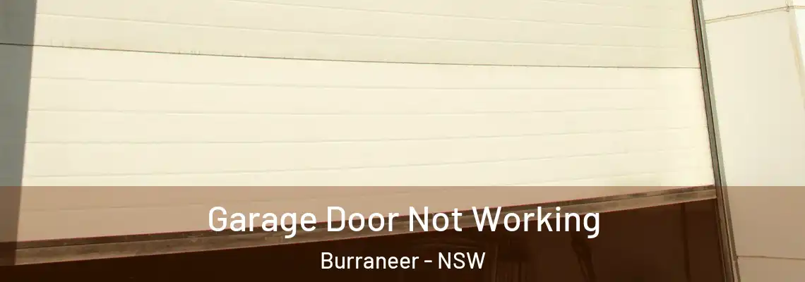 Garage Door Not Working Burraneer - NSW