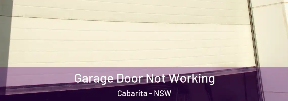 Garage Door Not Working Cabarita - NSW