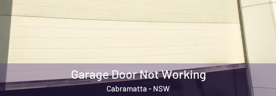 Garage Door Not Working Cabramatta - NSW