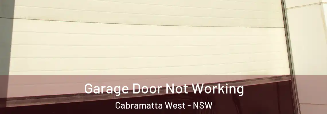 Garage Door Not Working Cabramatta West - NSW