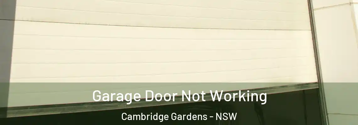 Garage Door Not Working Cambridge Gardens - NSW