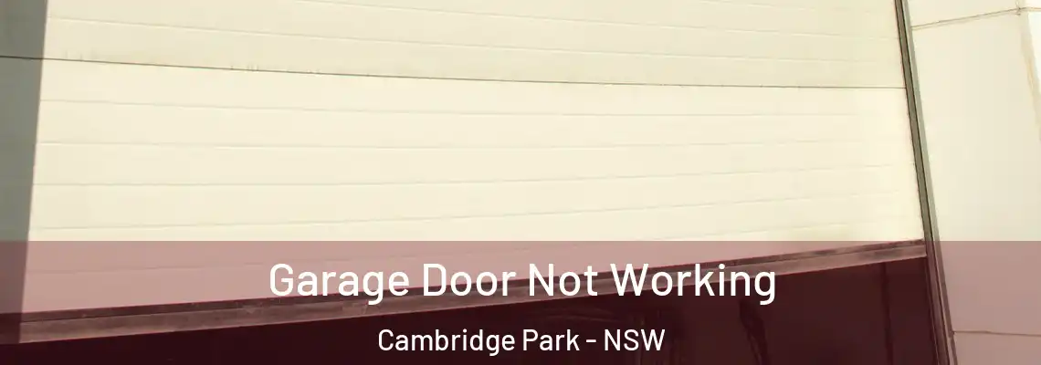 Garage Door Not Working Cambridge Park - NSW