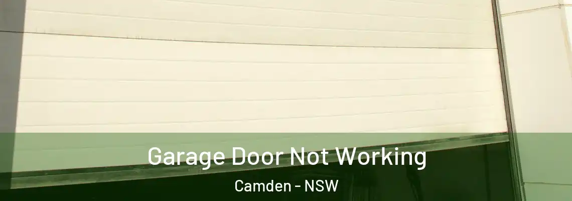 Garage Door Not Working Camden - NSW