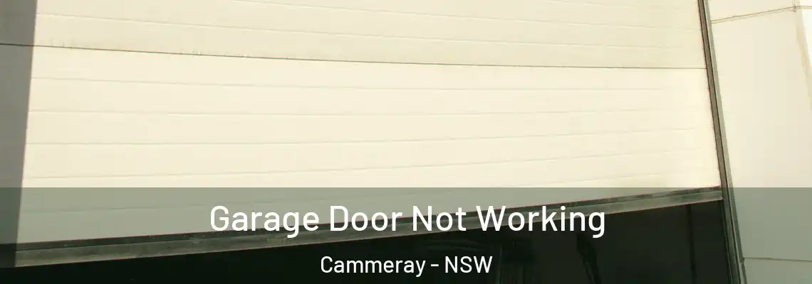 Garage Door Not Working Cammeray - NSW