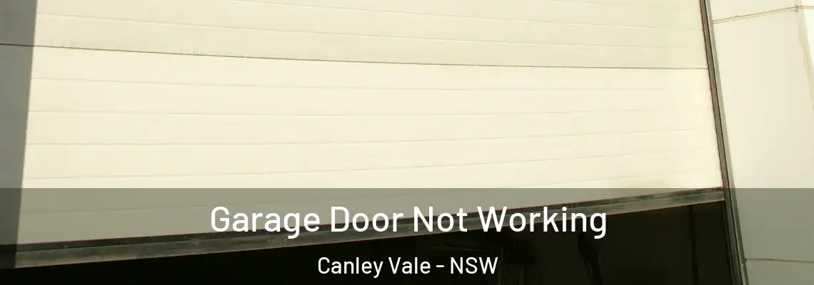 Garage Door Not Working Canley Vale - NSW