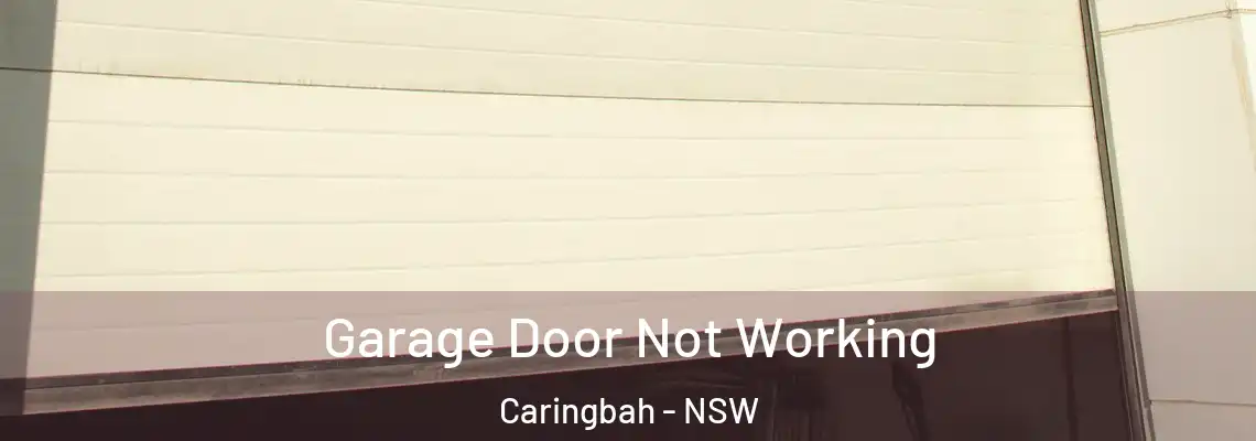 Garage Door Not Working Caringbah - NSW