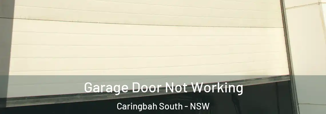 Garage Door Not Working Caringbah South - NSW