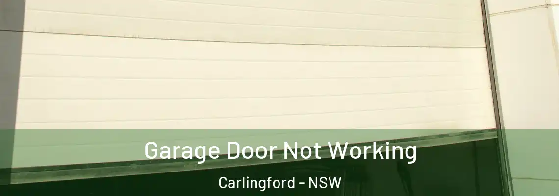 Garage Door Not Working Carlingford - NSW
