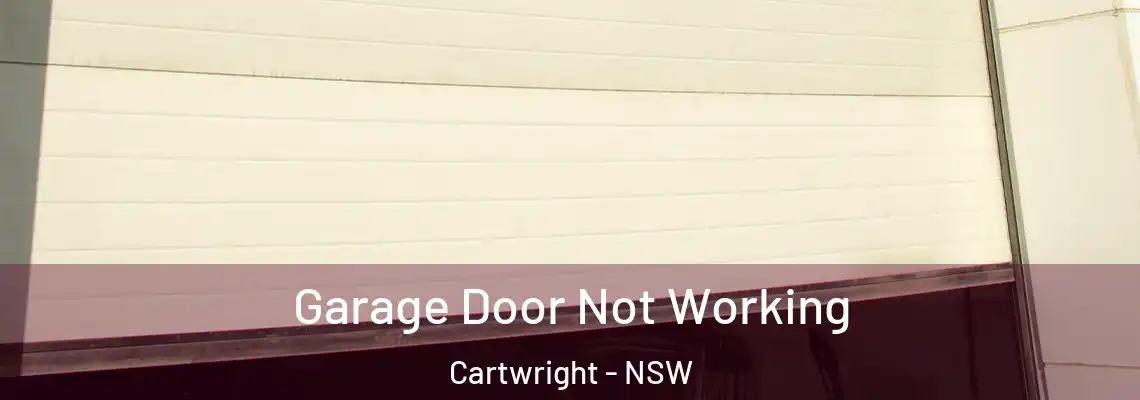 Garage Door Not Working Cartwright - NSW