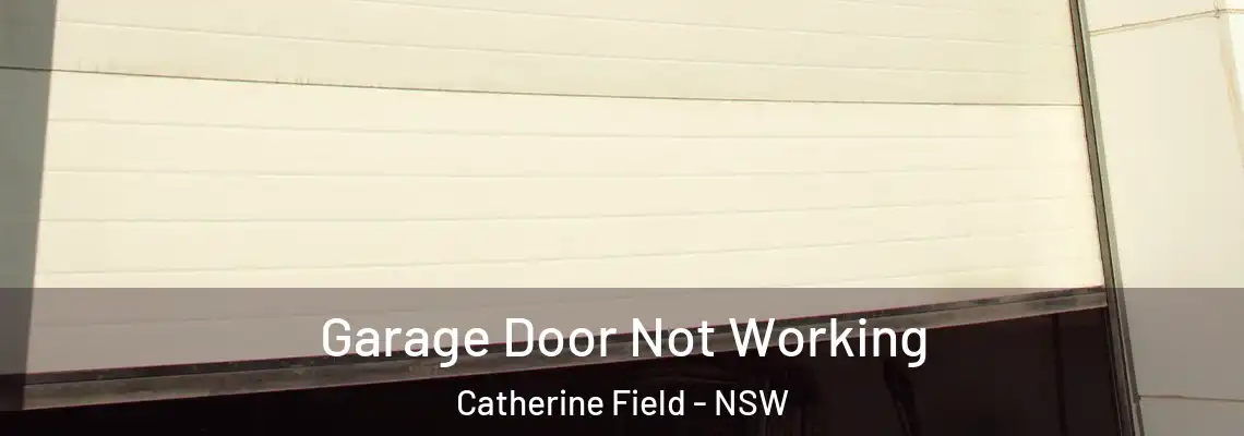 Garage Door Not Working Catherine Field - NSW
