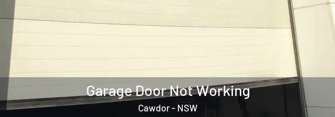 Garage Door Not Working Cawdor - NSW