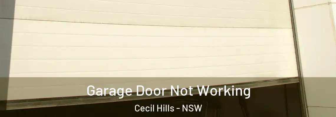 Garage Door Not Working Cecil Hills - NSW