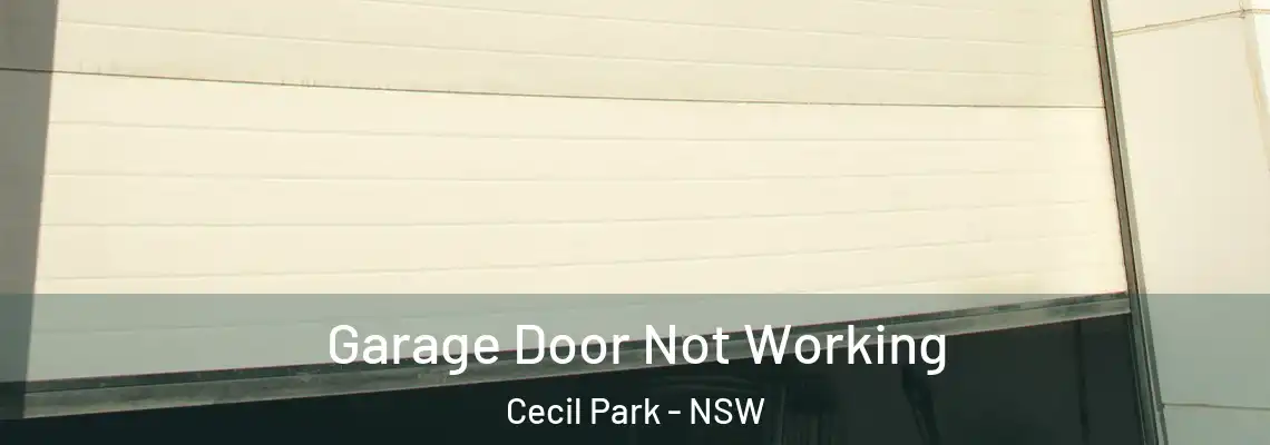 Garage Door Not Working Cecil Park - NSW
