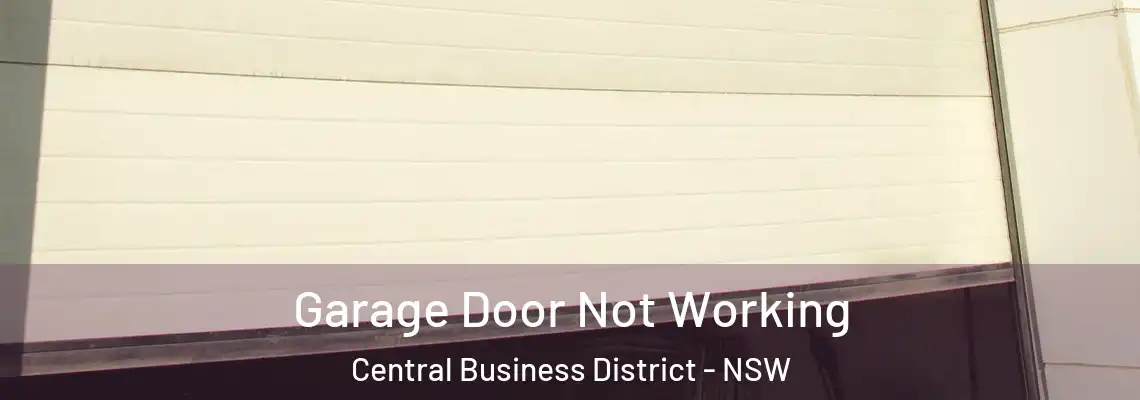 Garage Door Not Working Central Business District - NSW