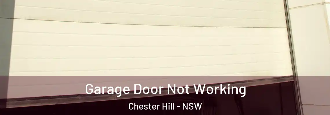  Garage Door Not Working Chester Hill - NSW