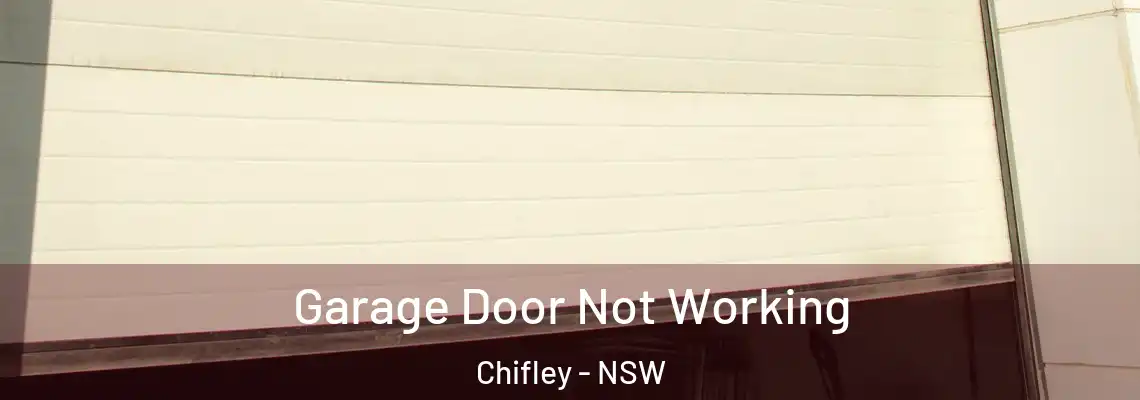 Garage Door Not Working Chifley - NSW