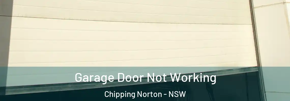 Garage Door Not Working Chipping Norton - NSW