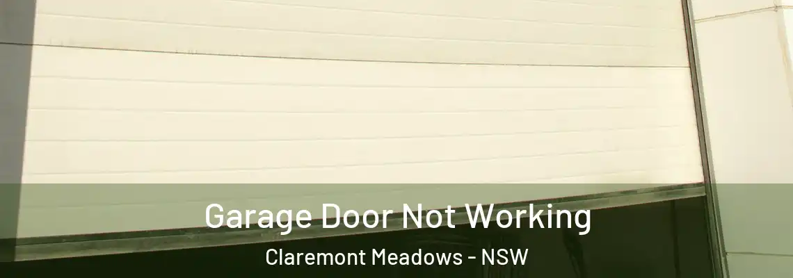 Garage Door Not Working Claremont Meadows - NSW