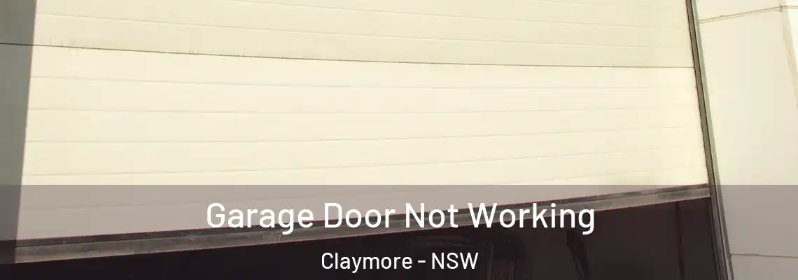 Garage Door Not Working Claymore - NSW