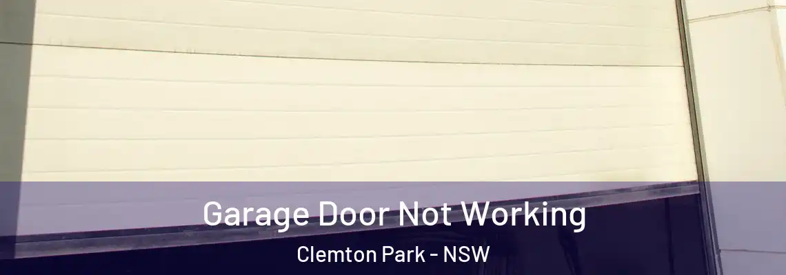 Garage Door Not Working Clemton Park - NSW