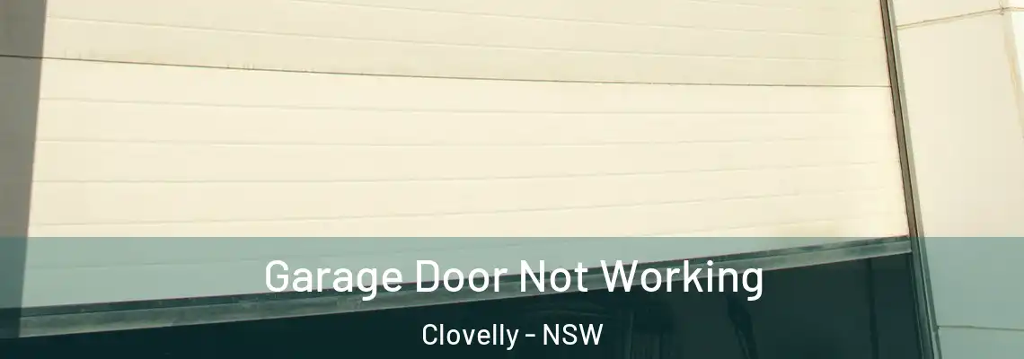 Garage Door Not Working Clovelly - NSW