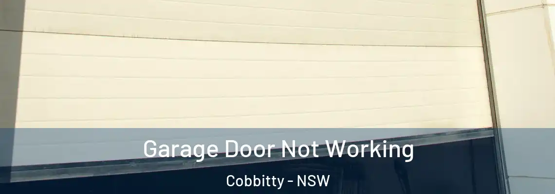 Garage Door Not Working Cobbitty - NSW