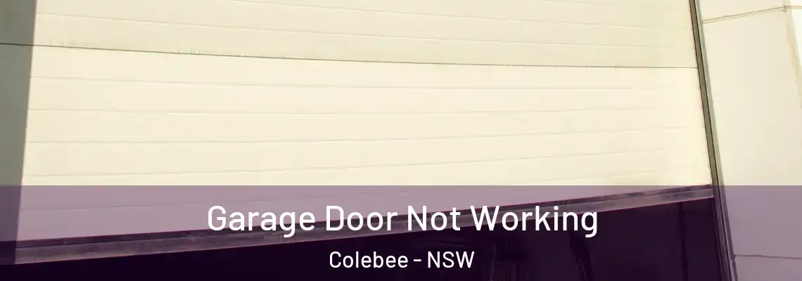 Garage Door Not Working Colebee - NSW
