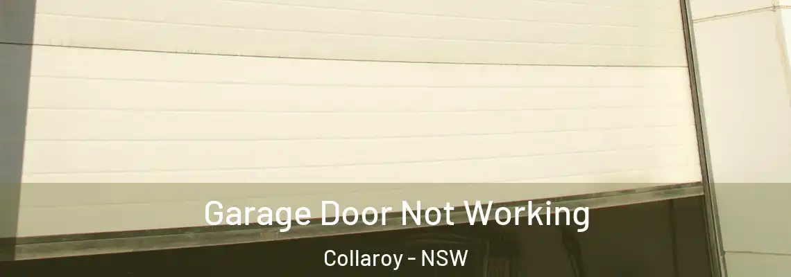Garage Door Not Working Collaroy - NSW