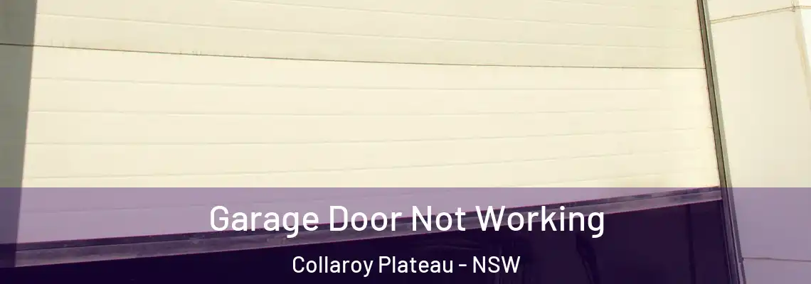 Garage Door Not Working Collaroy Plateau - NSW