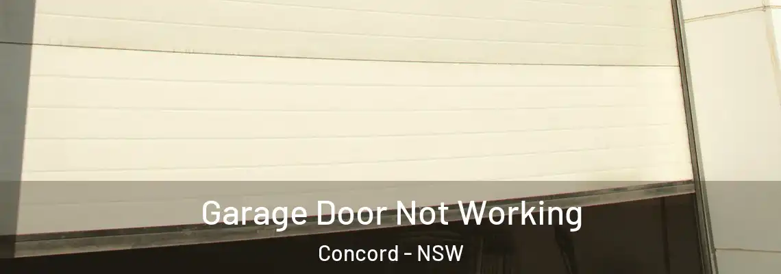 Garage Door Not Working Concord - NSW